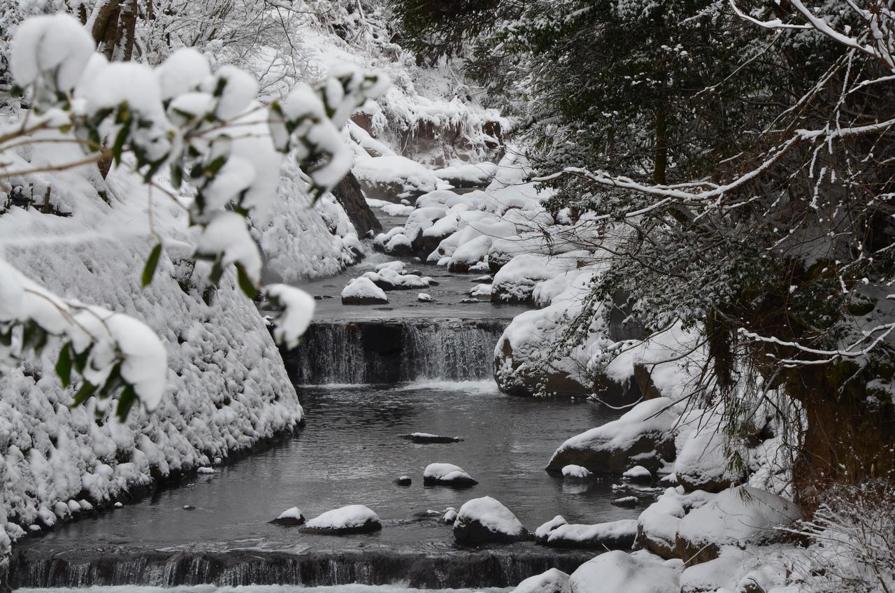 Hotel Kurokawa Onsen Oku No Yu Minamioguni Esterno foto